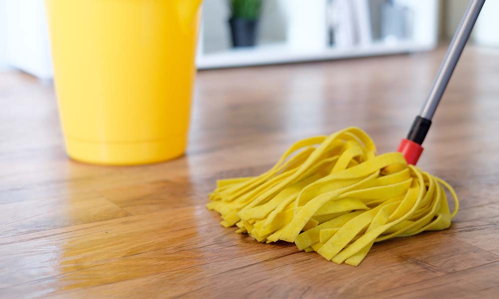 mop and bucket 