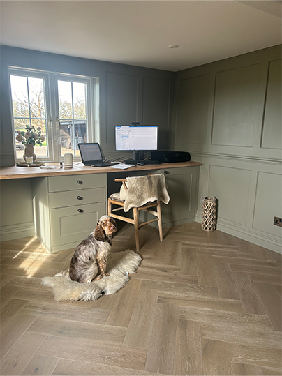 Sage green office room with spaniel sat on a rug