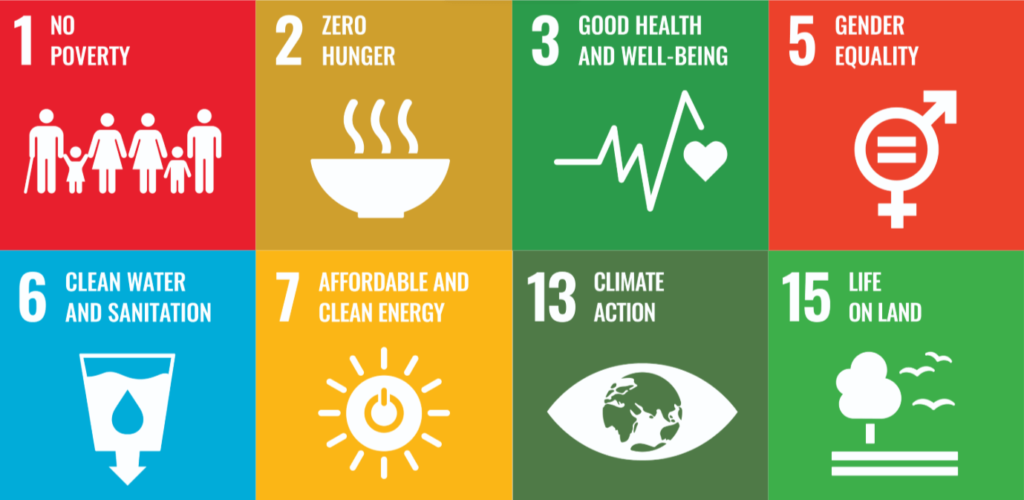 8 sustainability methods