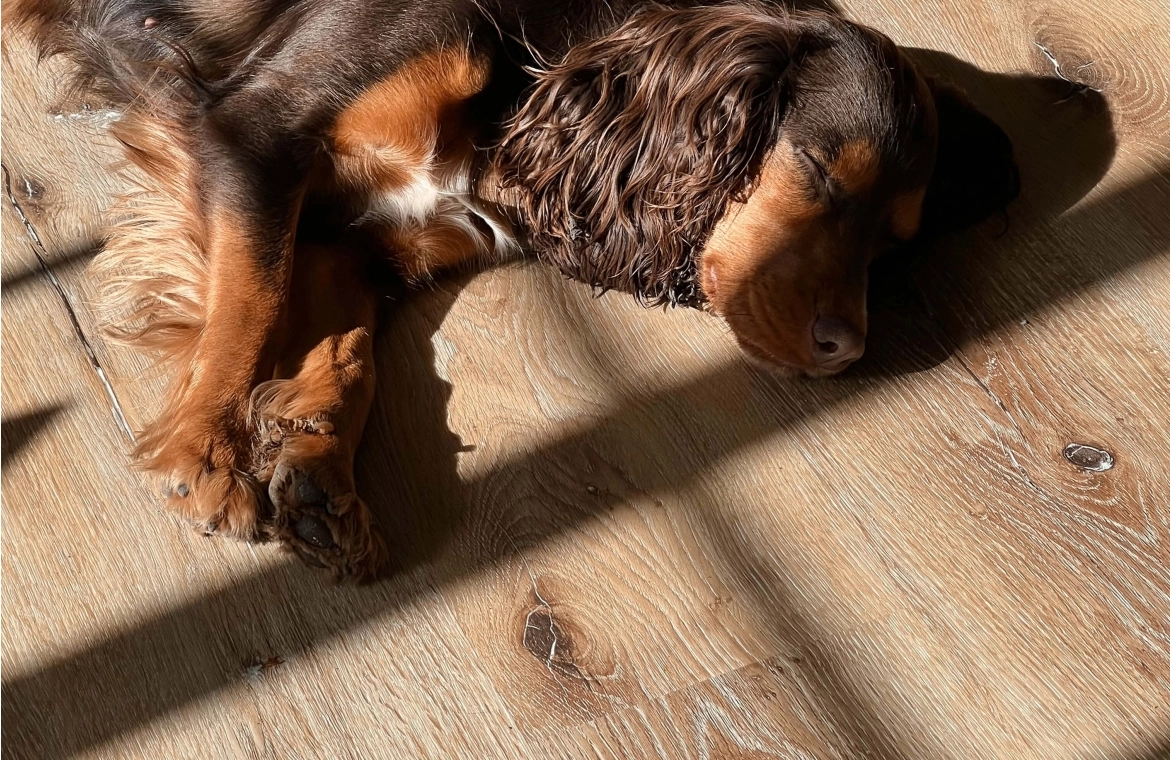 Classic Tawny Oak Click Vinyl
