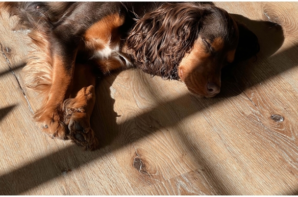 Classic Tawny Oak Click Vinyl