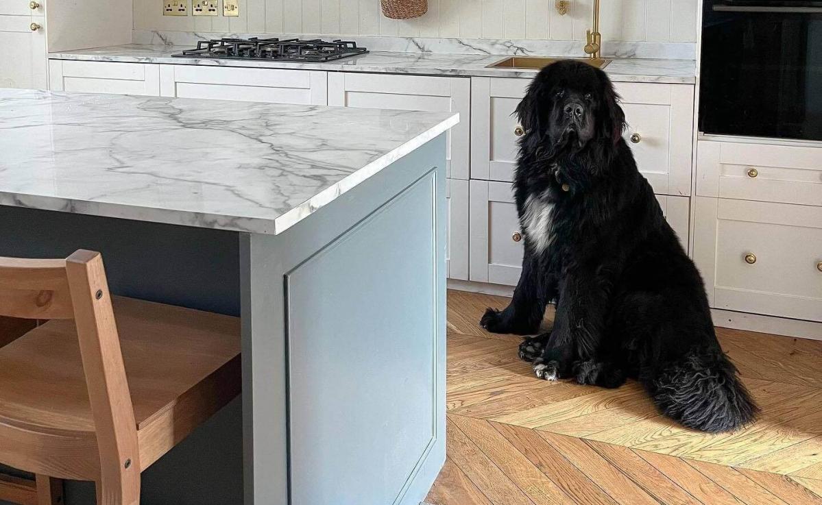 How to Restore Parquet Flooring: An Expert Guide to Renewal and Care